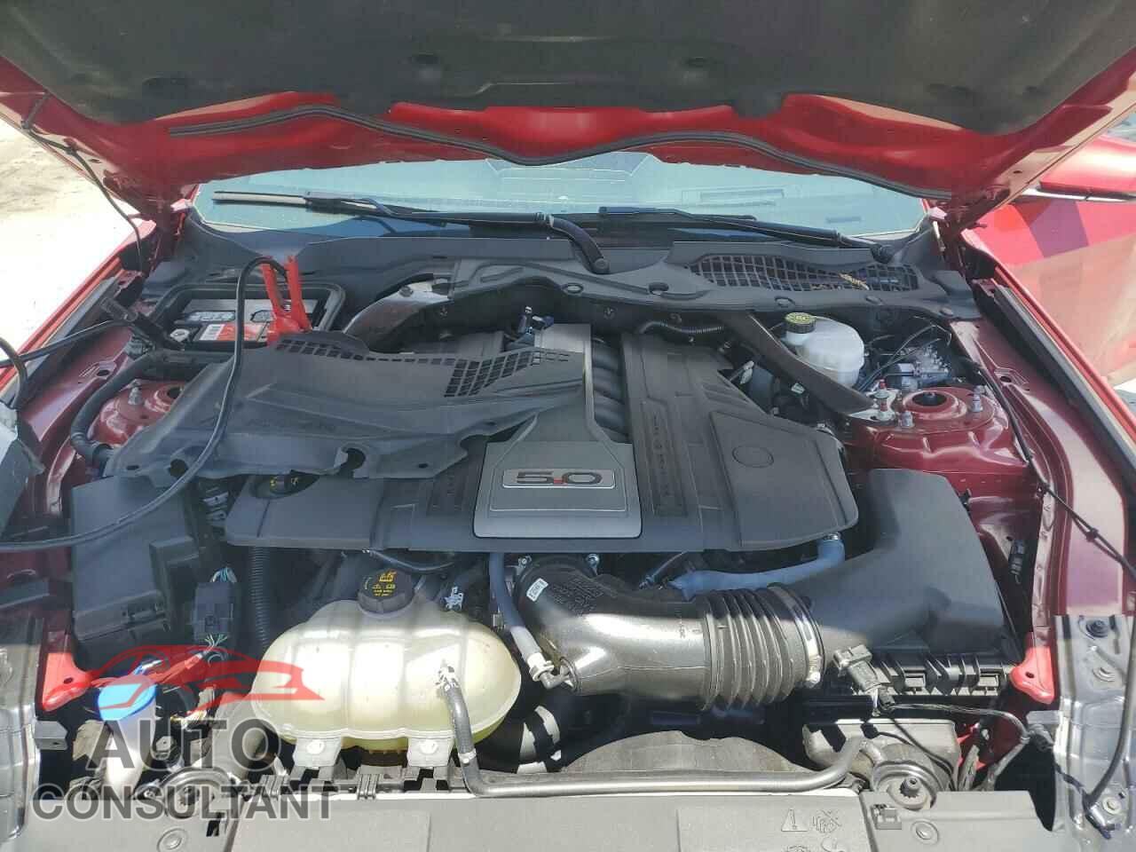 FORD MUSTANG 2020 - 1FA6P8CF3L5191897