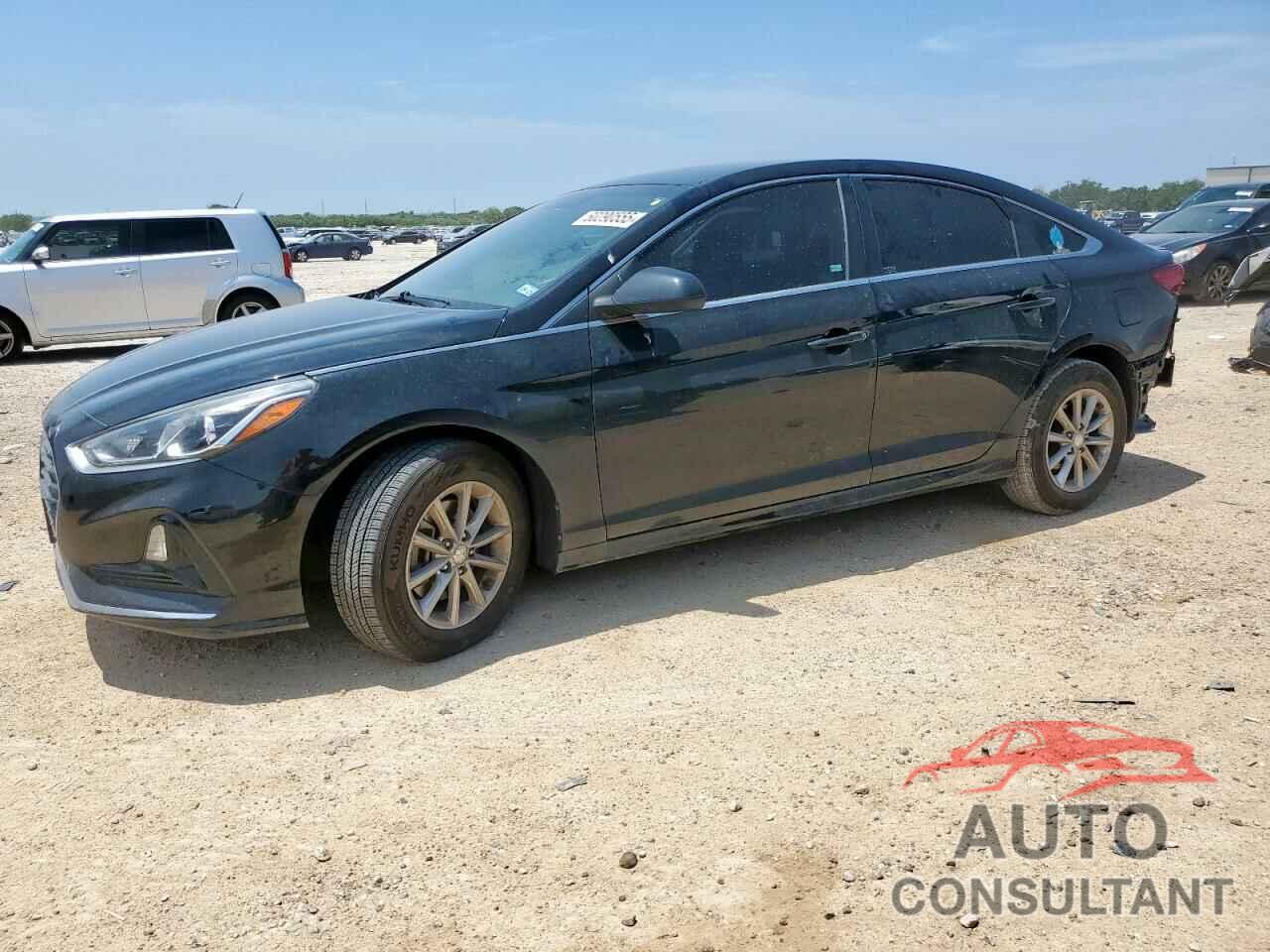 HYUNDAI SONATA 2019 - 5NPE24AF7KH761561