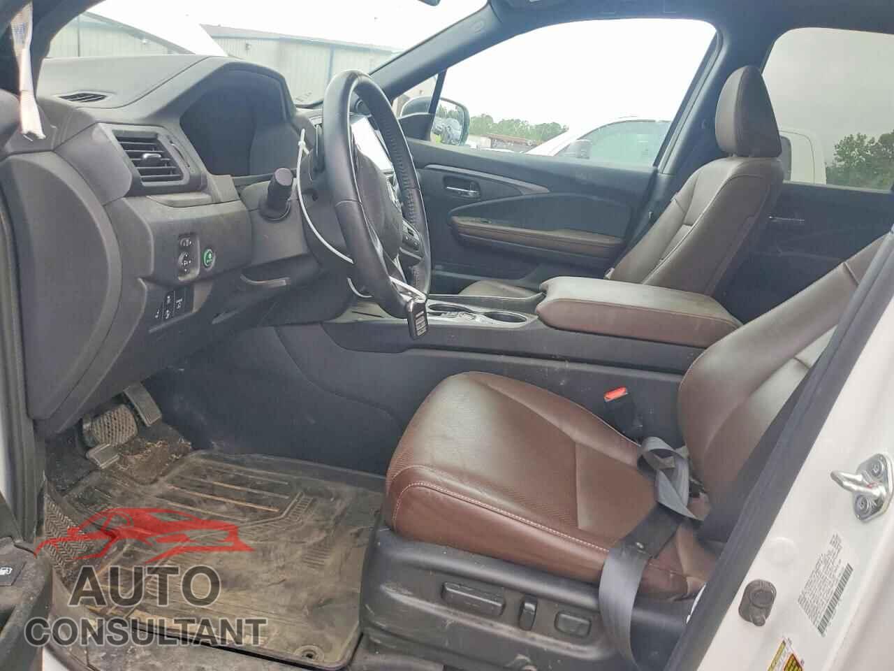 HONDA RIDGELINE 2024 - 5FPYK3F51RB014061