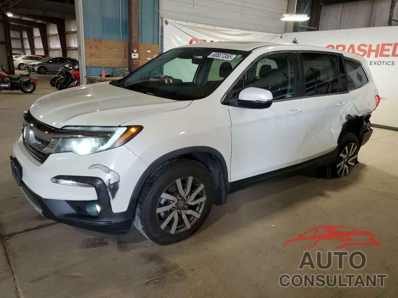 HONDA PILOT 2019 - 5FNYF6H51KB050107