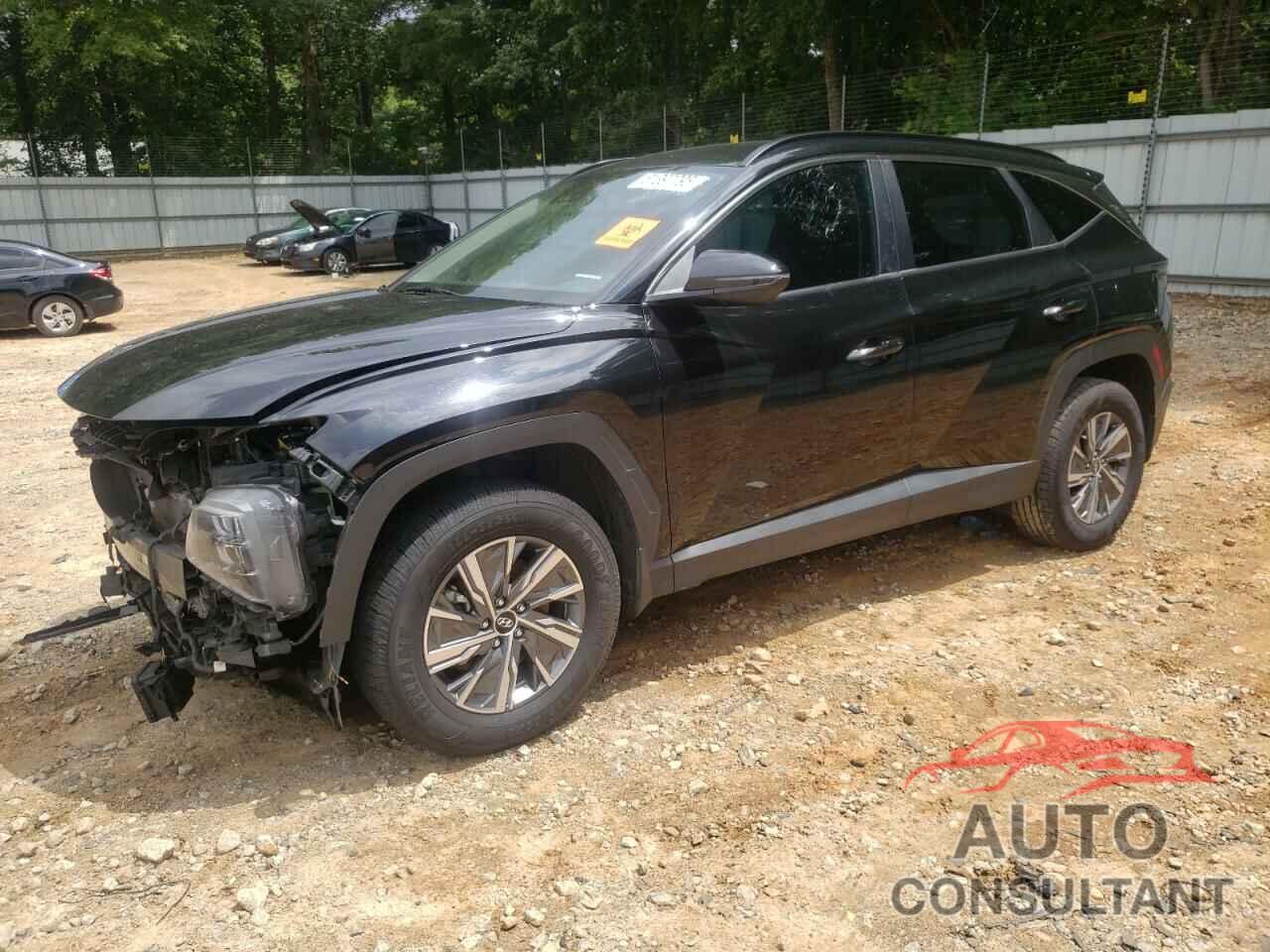 HYUNDAI TUCSON 2023 - KM8JBCA1XPU123505