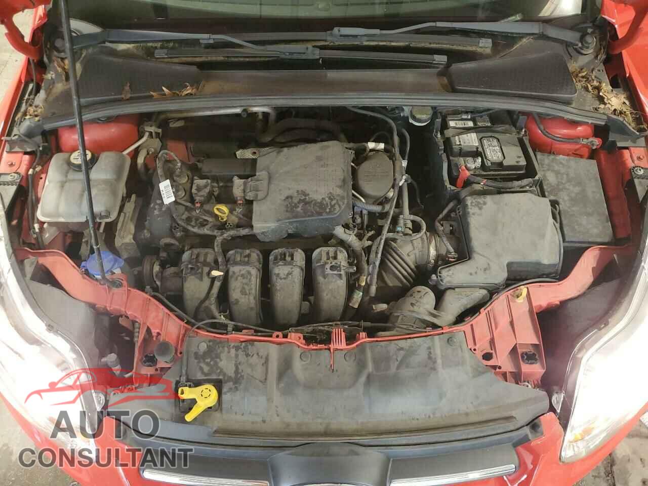 FORD FOCUS 2014 - 1FADP3K21EL193560