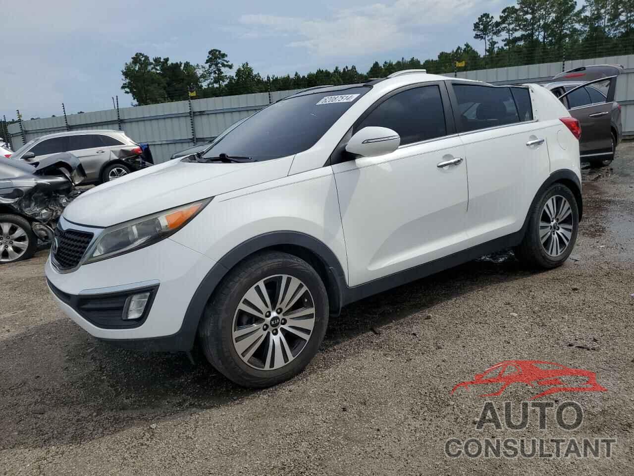 KIA SPORTAGE 2016 - KNDPC3AC2G7845482