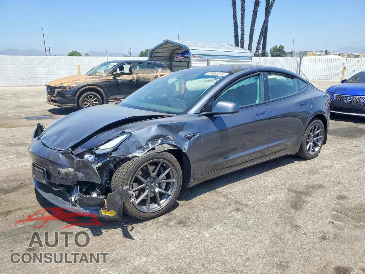 TESLA MODEL 3 2021 - 5YJ3E1EB2MF025259
