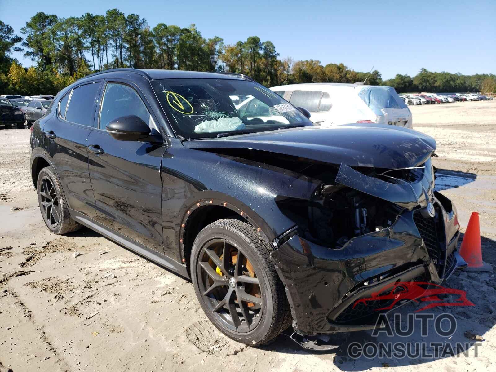 ALFA ROMEO STELVIO 2019 - ZASPAKBN1K7C57220