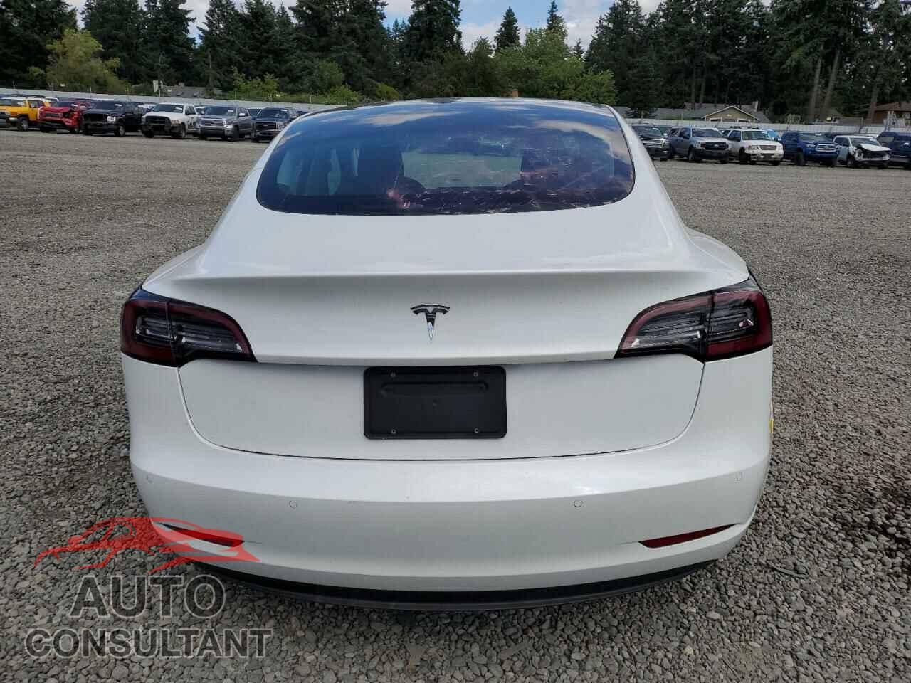 TESLA MODEL 3 2021 - 5YJ3E1EAXMF838484