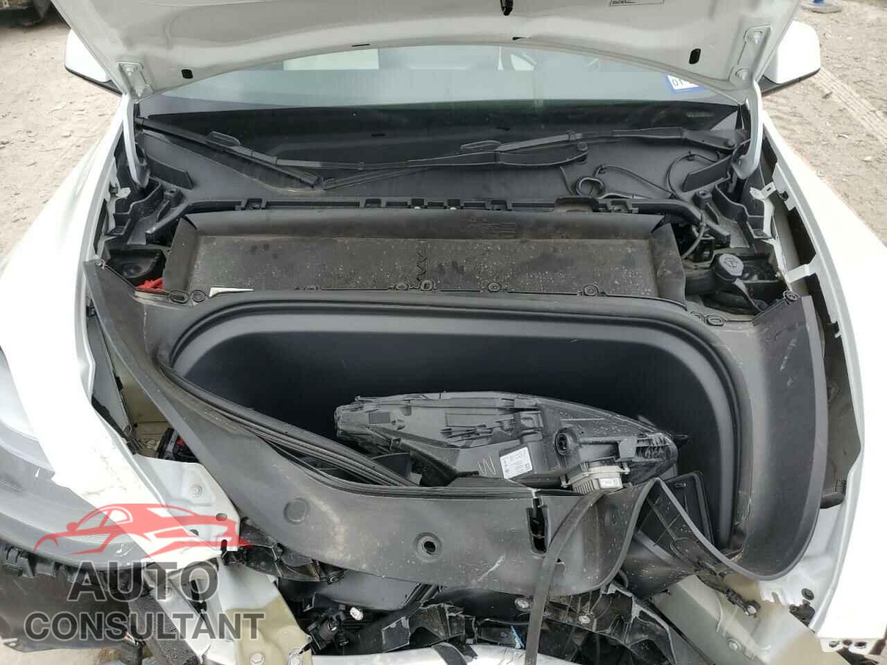 TESLA MODEL Y 2024 - 7SAYGAEEXRF983697