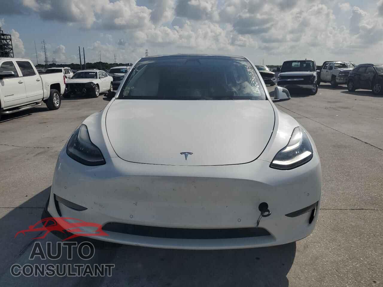 TESLA MODEL Y 2021 - 5YJYGDEEXMF067142