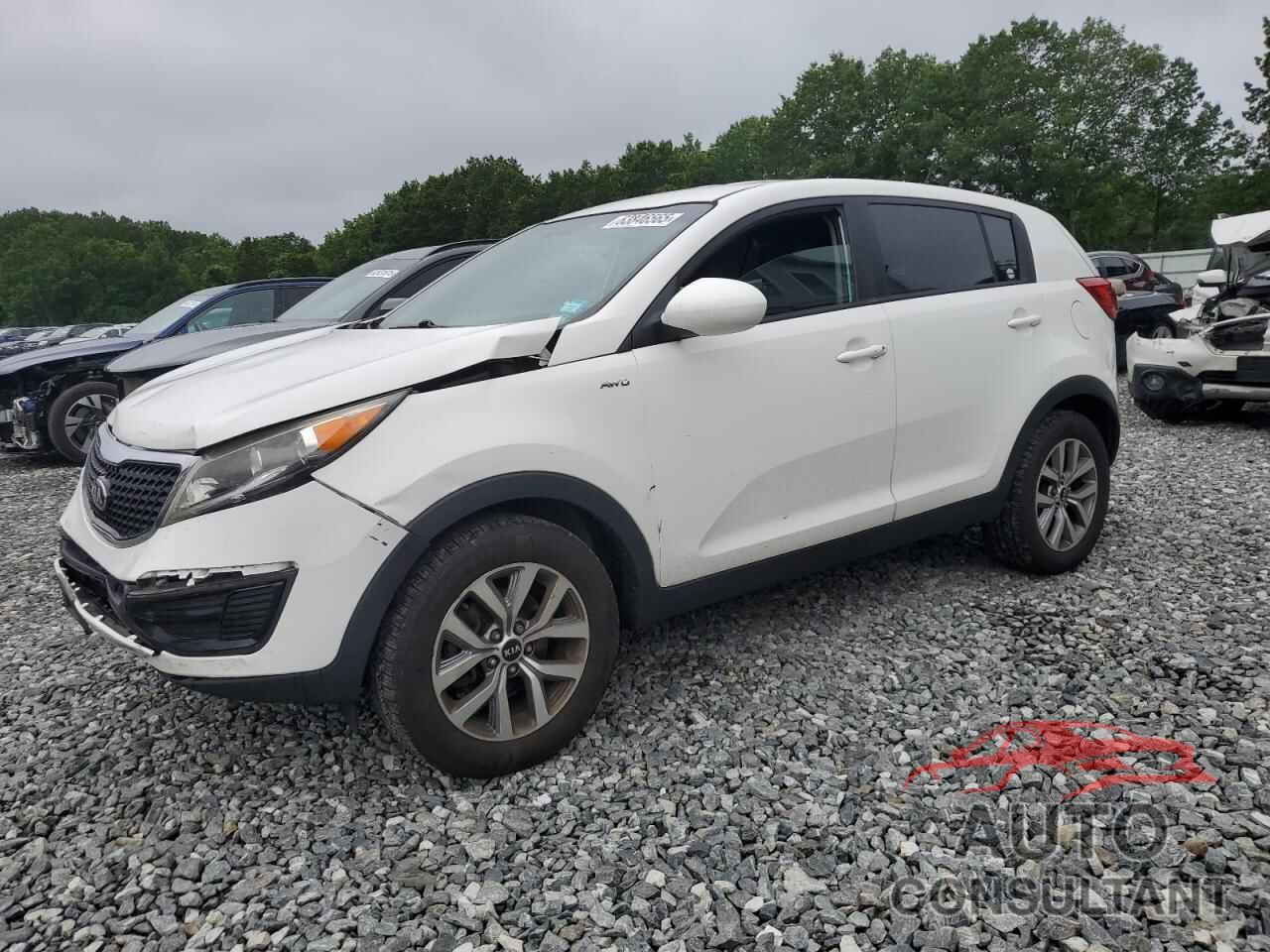 KIA SPORTAGE 2016 - KNDPBCAC4G7865994
