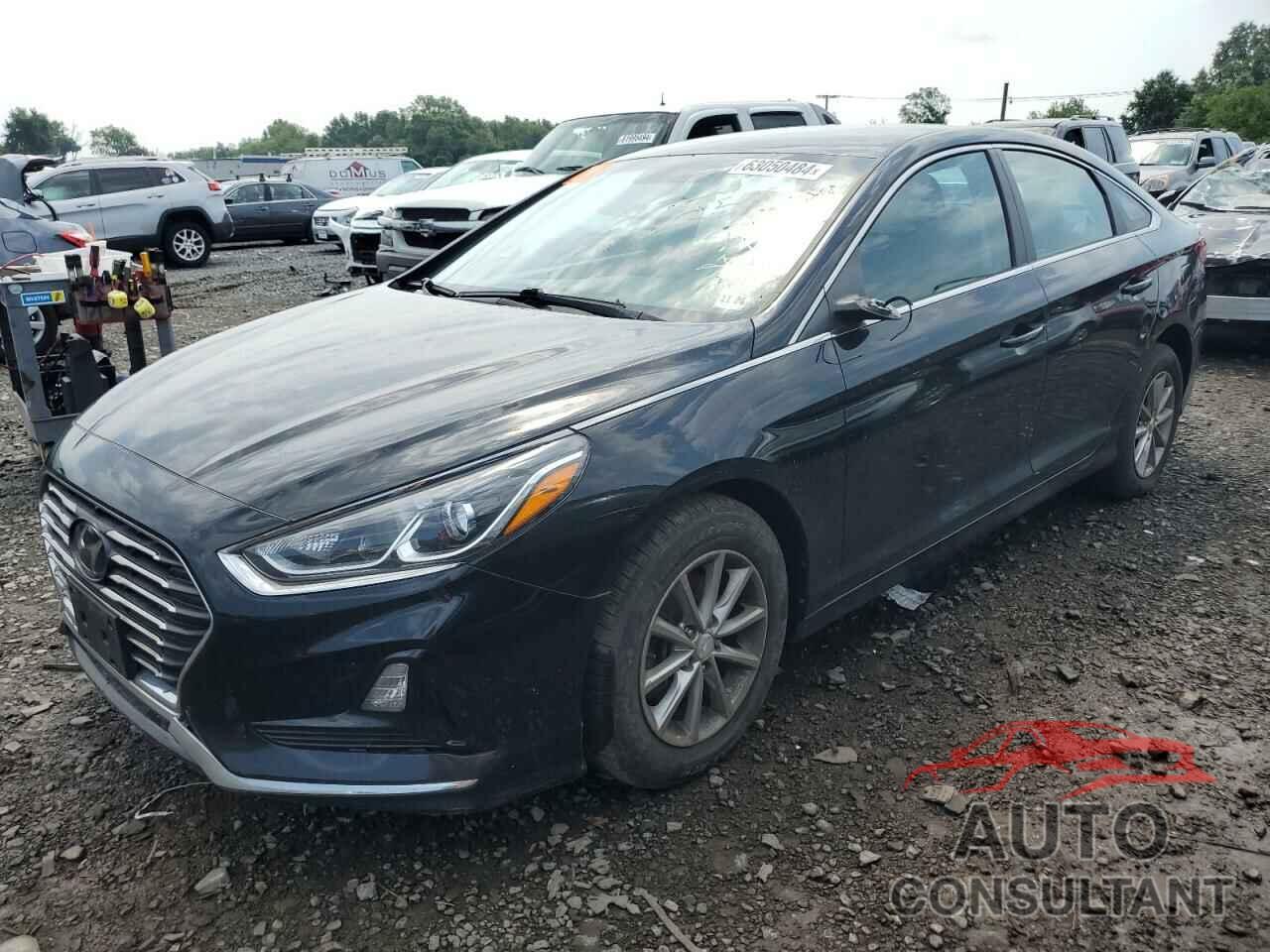 HYUNDAI SONATA 2019 - 5NPE24AFXKH817539