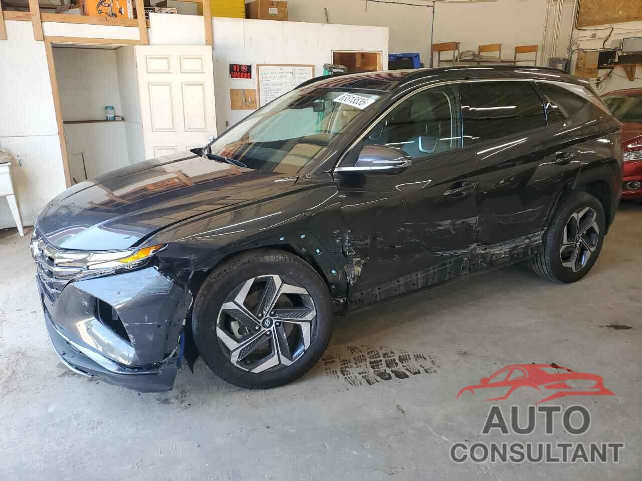 HYUNDAI TUCSON 2023 - 5NMJECAEXPH251457