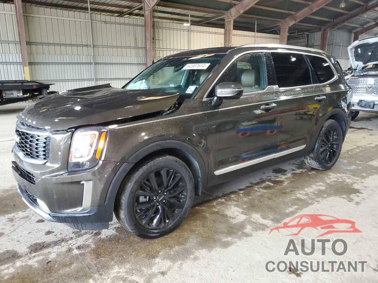 KIA TELLURIDE 2022 - 5XYP5DHC5NG287441