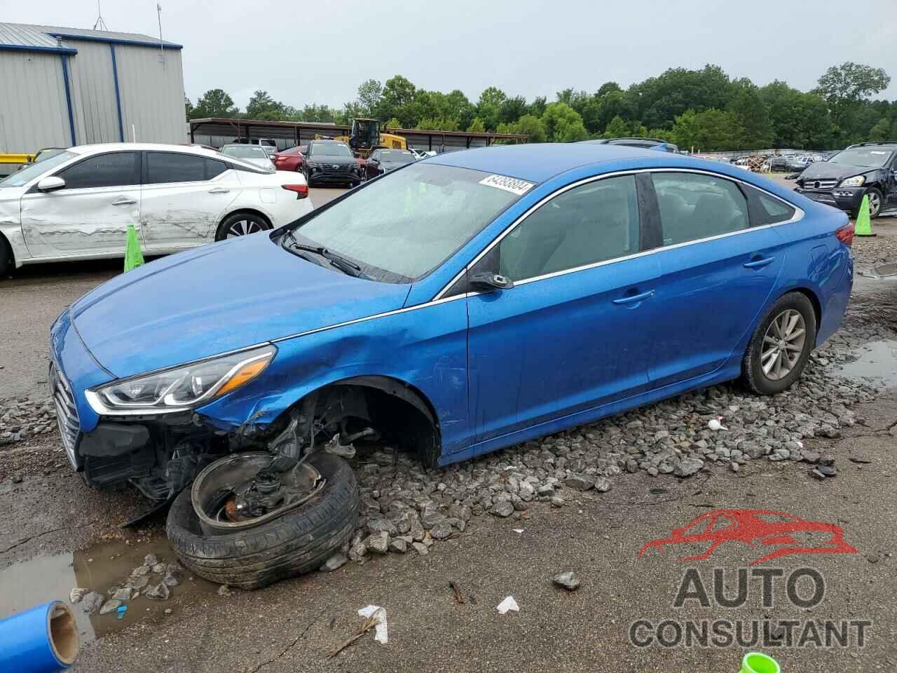 HYUNDAI SONATA 2019 - 5NPE24AFXKH774336