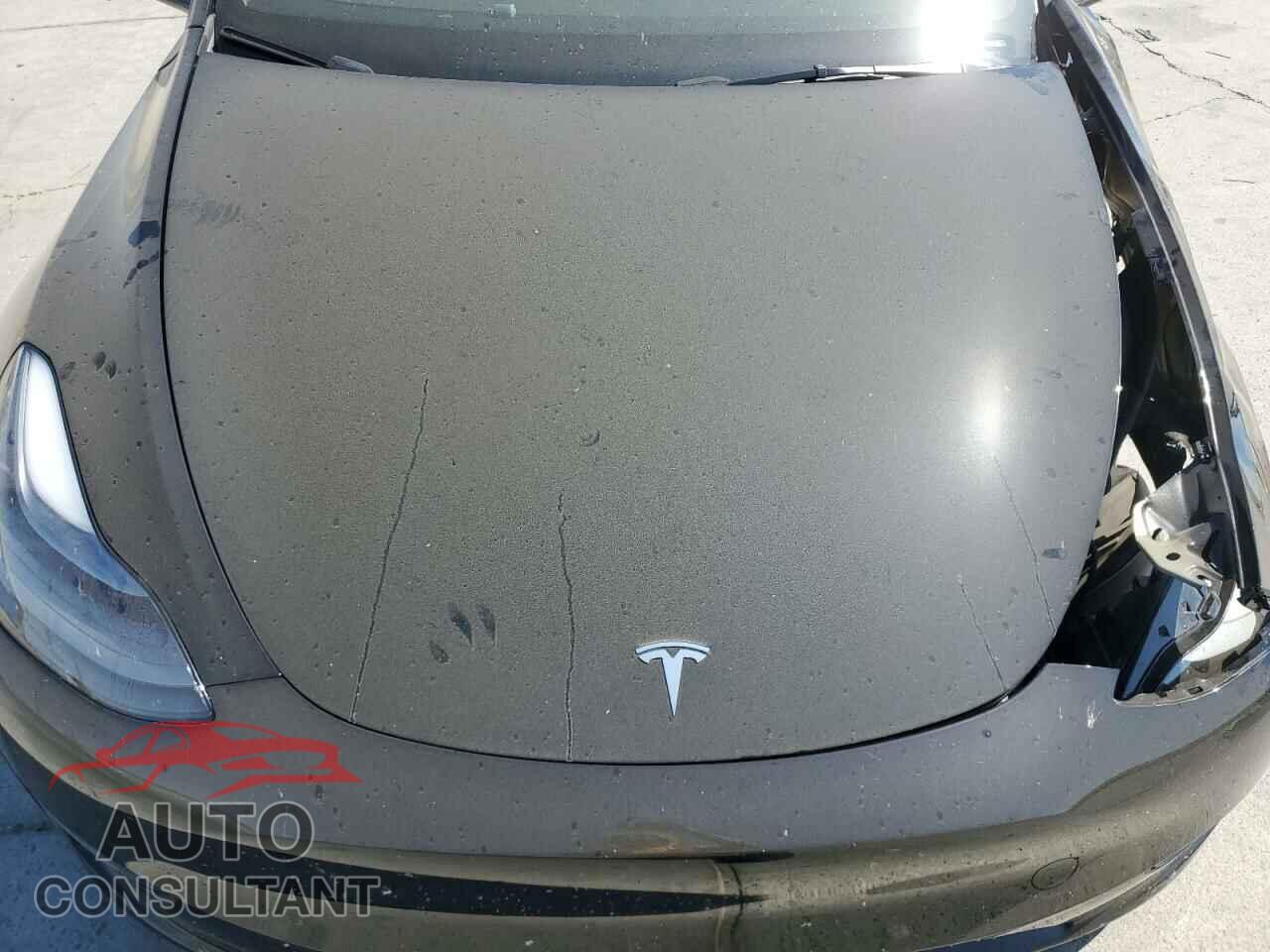 TESLA MODEL Y 2024 - 7SAYGDEF7RF046154