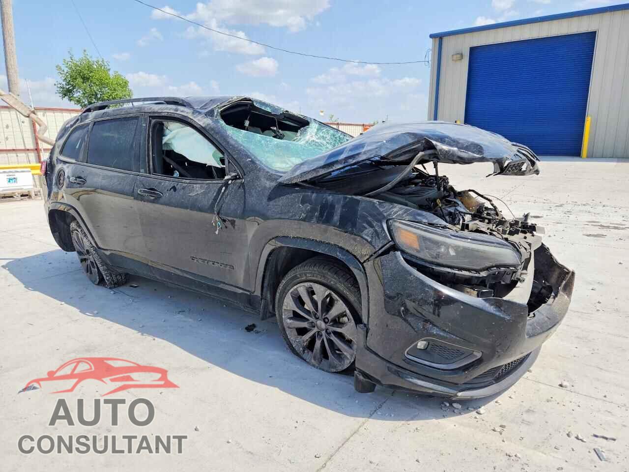 JEEP CHEROKEE 2019 - 1C4PJLDN4KD333171