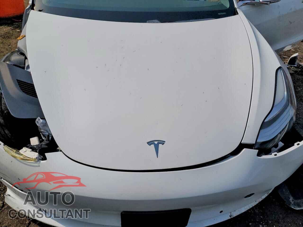 TESLA MODEL 3 2019 - 5YJ3E1EA4KF486614