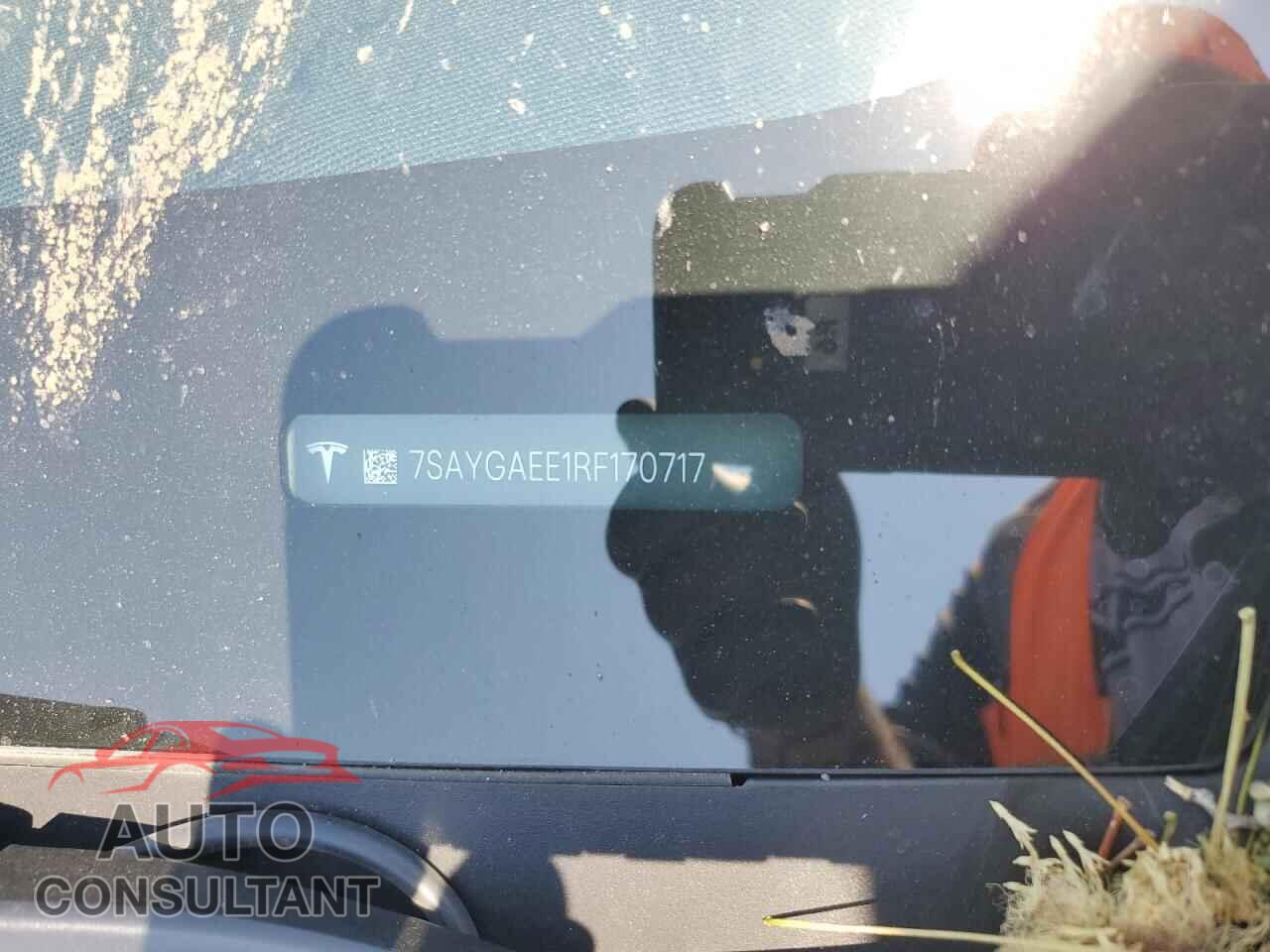 TESLA MODEL Y 2024 - 7SAYGAEE1RF170717