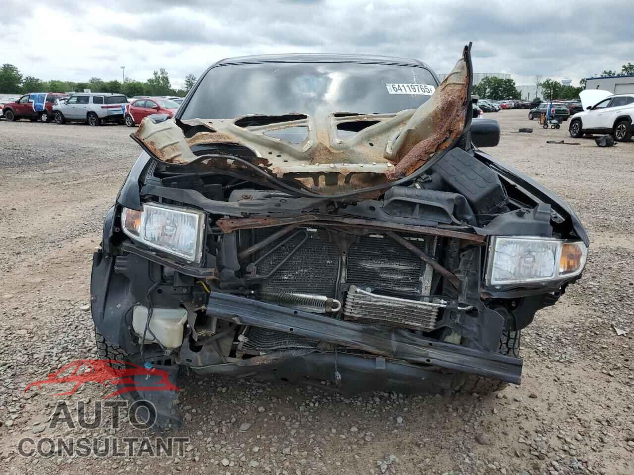 HONDA RIDGELINE 2009 - 5FPYK16409B100554