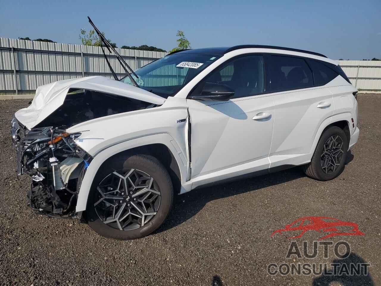 HYUNDAI TUCSON 2024 - KM8JFCD1XRU159472