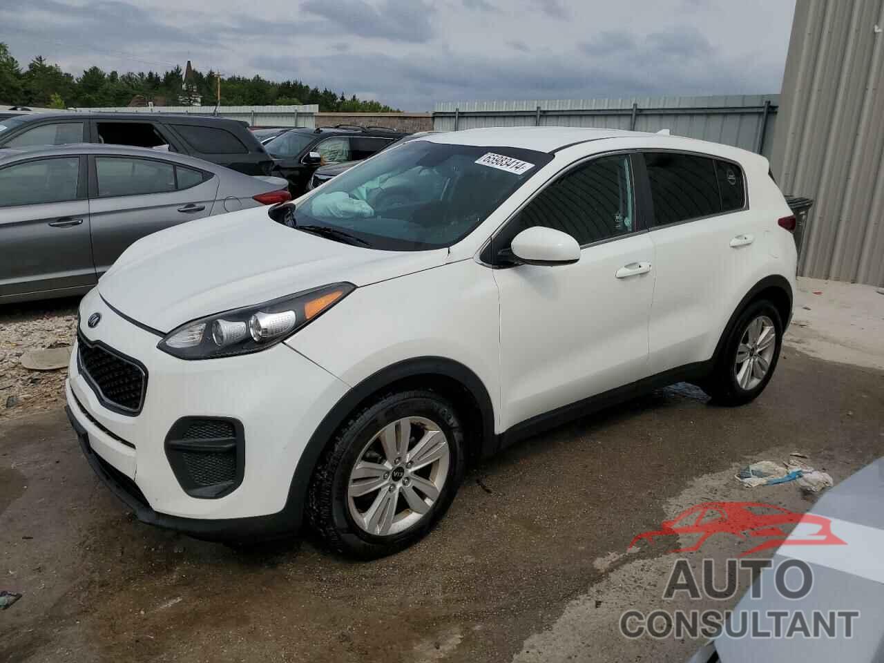 KIA SPORTAGE 2019 - KNDPM3AC3K7491820