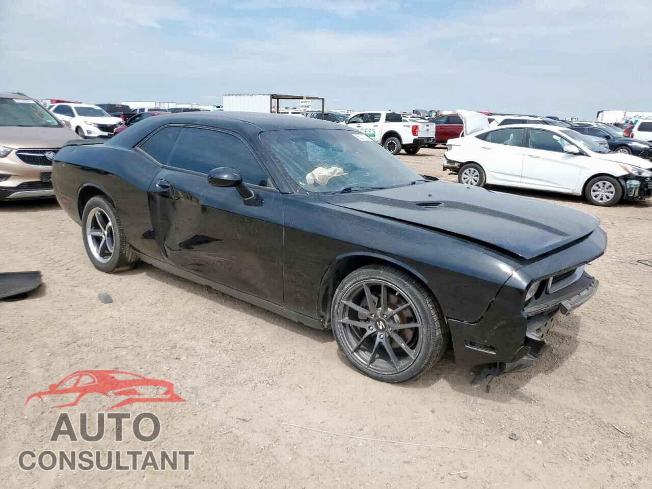 DODGE CHALLENGER 2013 - 2C3CDYAG4DH524155