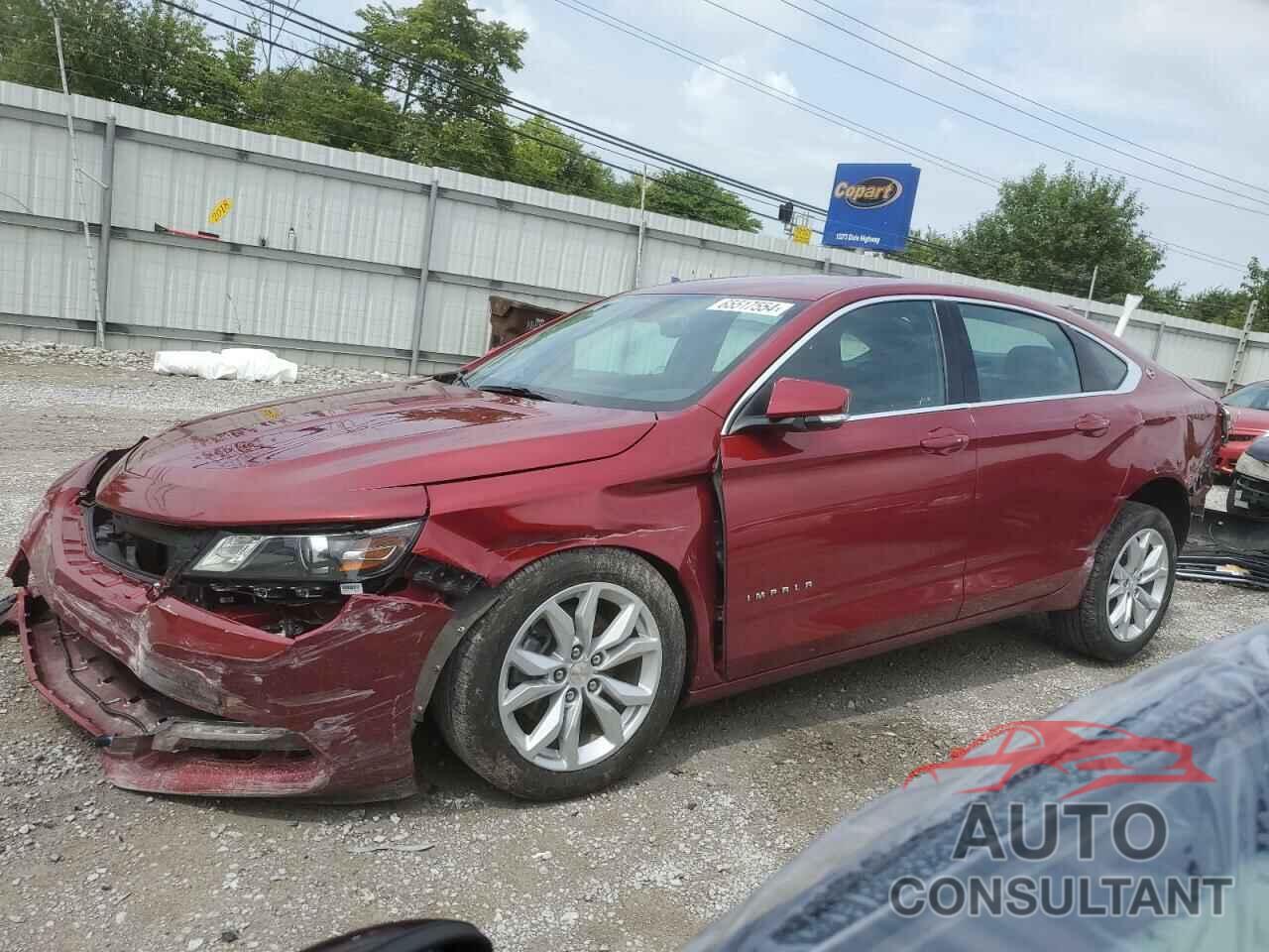 CHEVROLET IMPALA 2019 - 1G11Z5S36KU120517