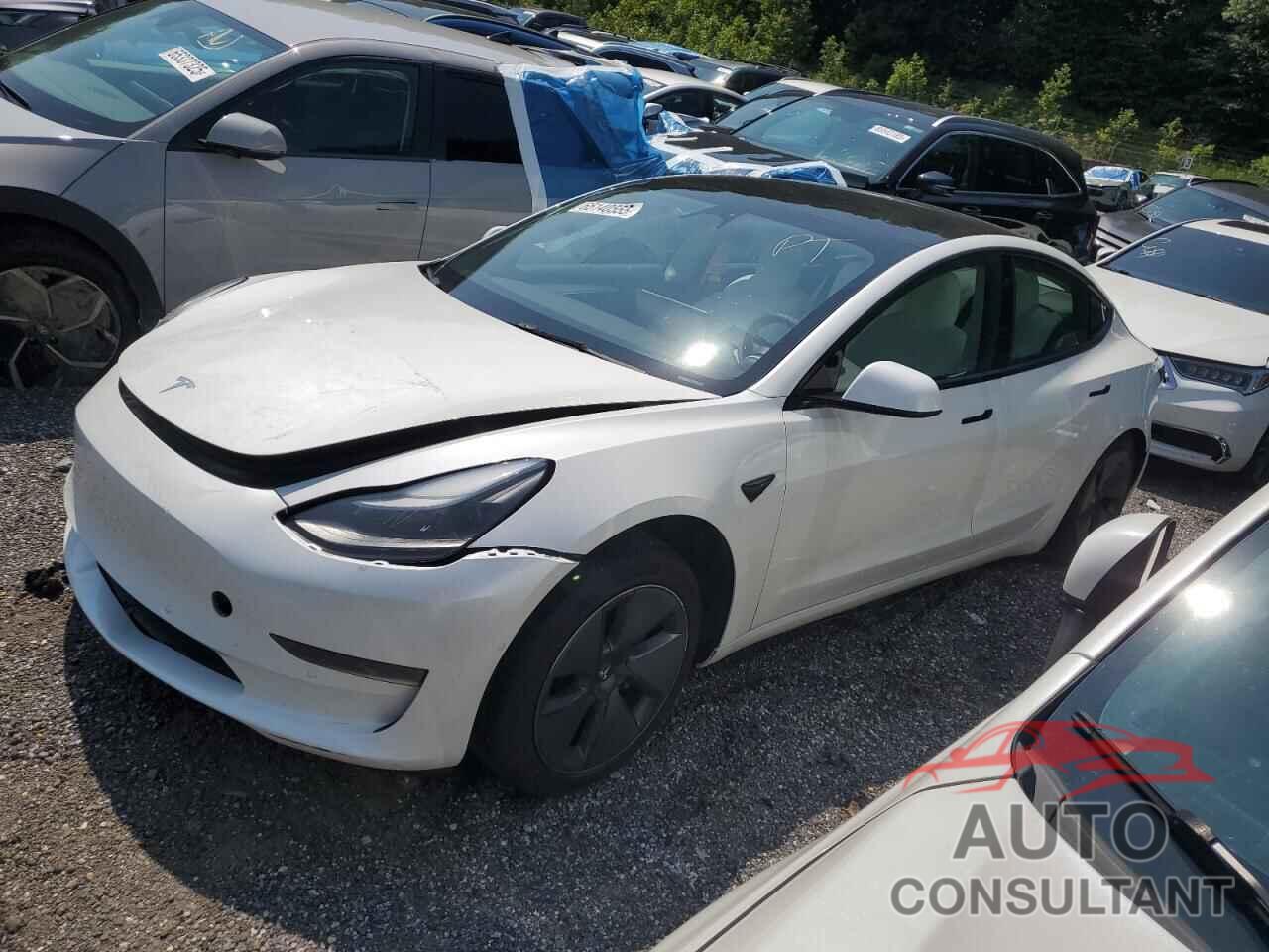 TESLA MODEL 3 2022 - 5YJ3E1EA2NF203647