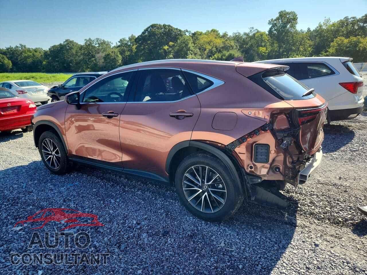 LEXUS NX 2025 - 2T2GDCAZ2SC020854
