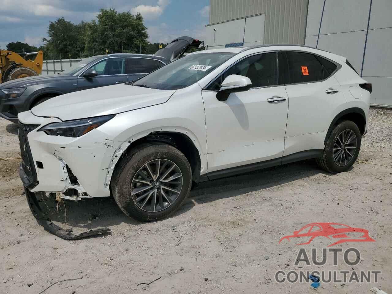 LEXUS NX 250 PRE 2024 - 2T2GDCAZ0RC012021