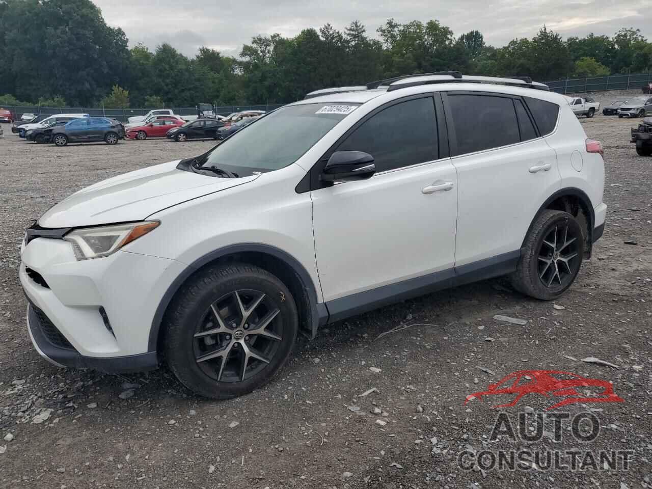 TOYOTA RAV4 2016 - 2T3JFREV6GW530507
