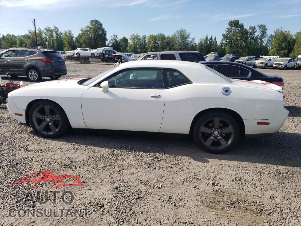 DODGE CHALLENGER 2014 - 2C3CDYAG6EH111428