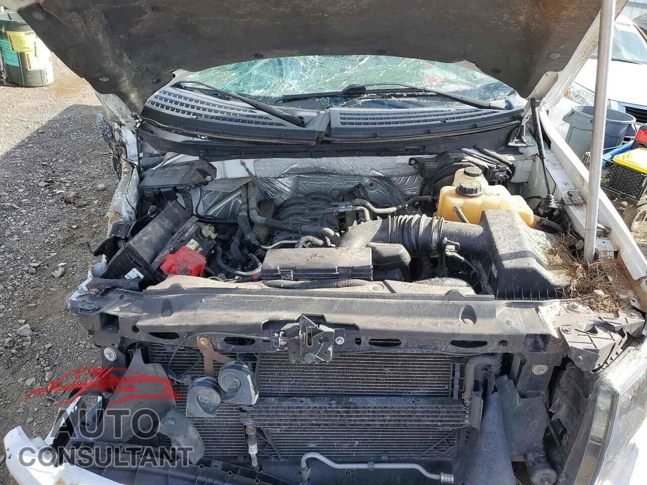 FORD F150 2012 - 1FTMF1EF9CFA91760