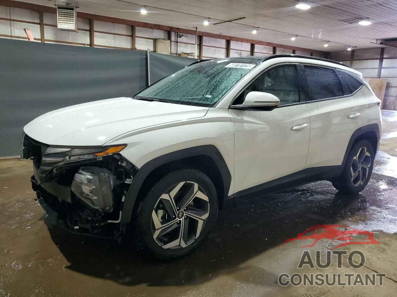HYUNDAI TUCSON 2024 - 5NMJECDE7RH345374