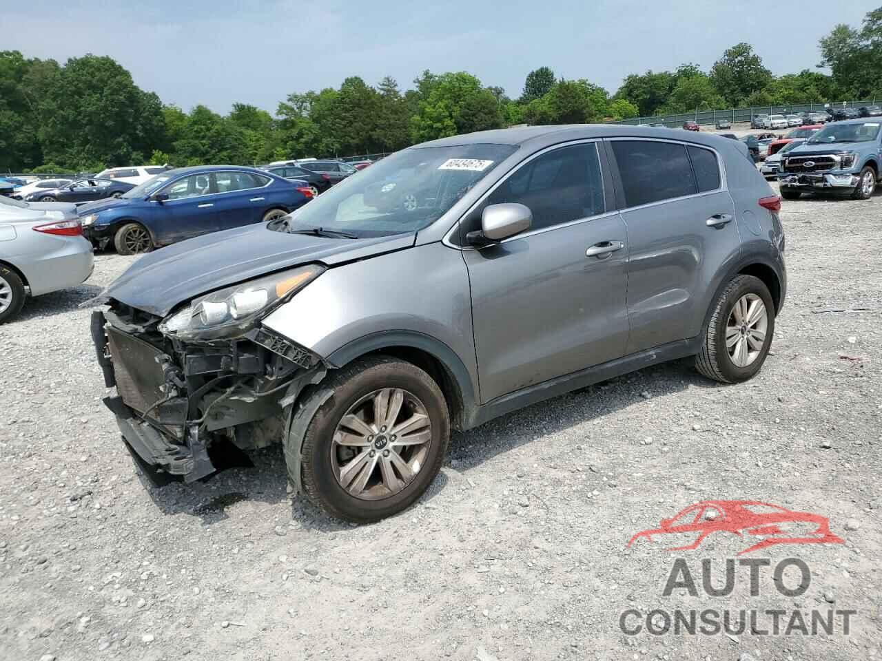 KIA SPORTAGE 2019 - KNDPM3AC2K7557533