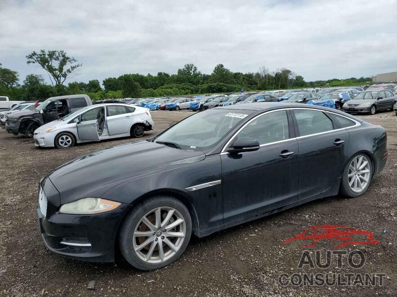 JAGUAR XJ 2013 - SAJWJ1CD8D8V52463