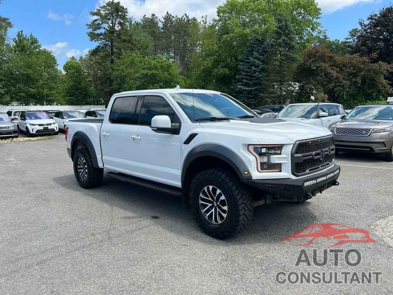 FORD F150 2019 - 1FTFW1RG5KFC08115