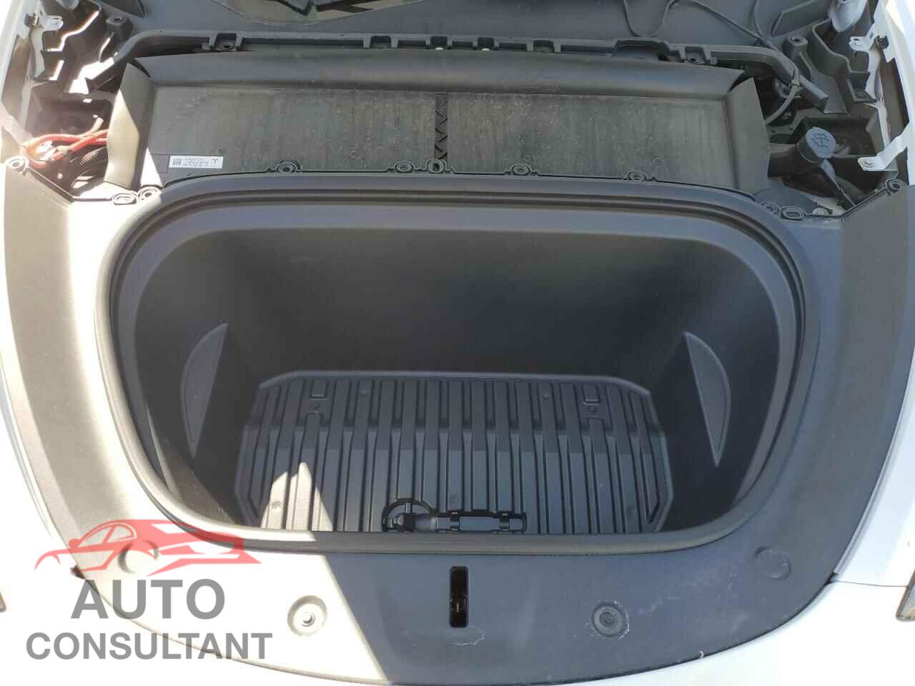 TESLA MODEL Y 2024 - 7SAYGAEE7RF101627