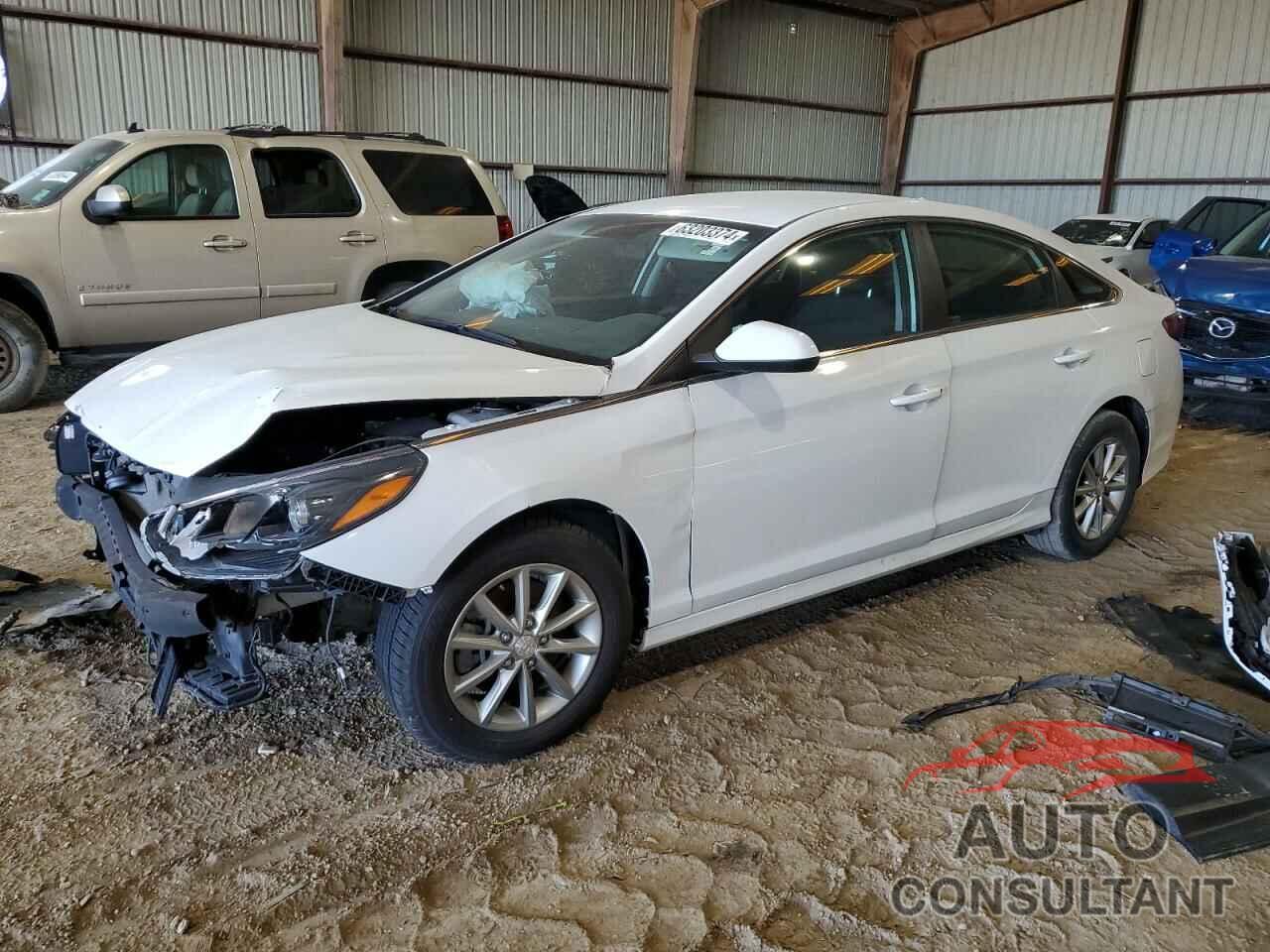 HYUNDAI SONATA 2019 - 5NPE24AF7KH776075