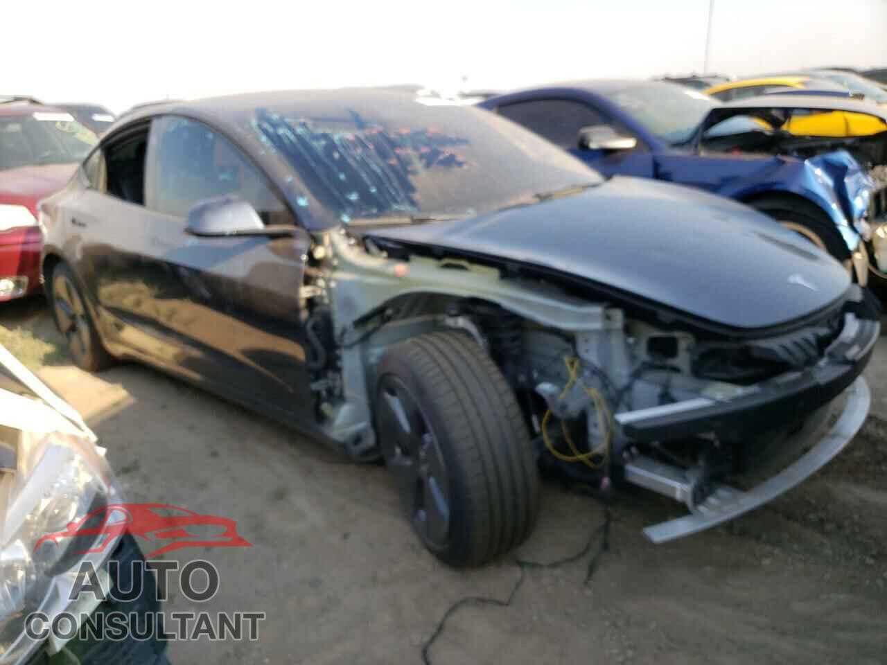 TESLA MODEL 3 2021 - 5YJ3E1EAXMF087516