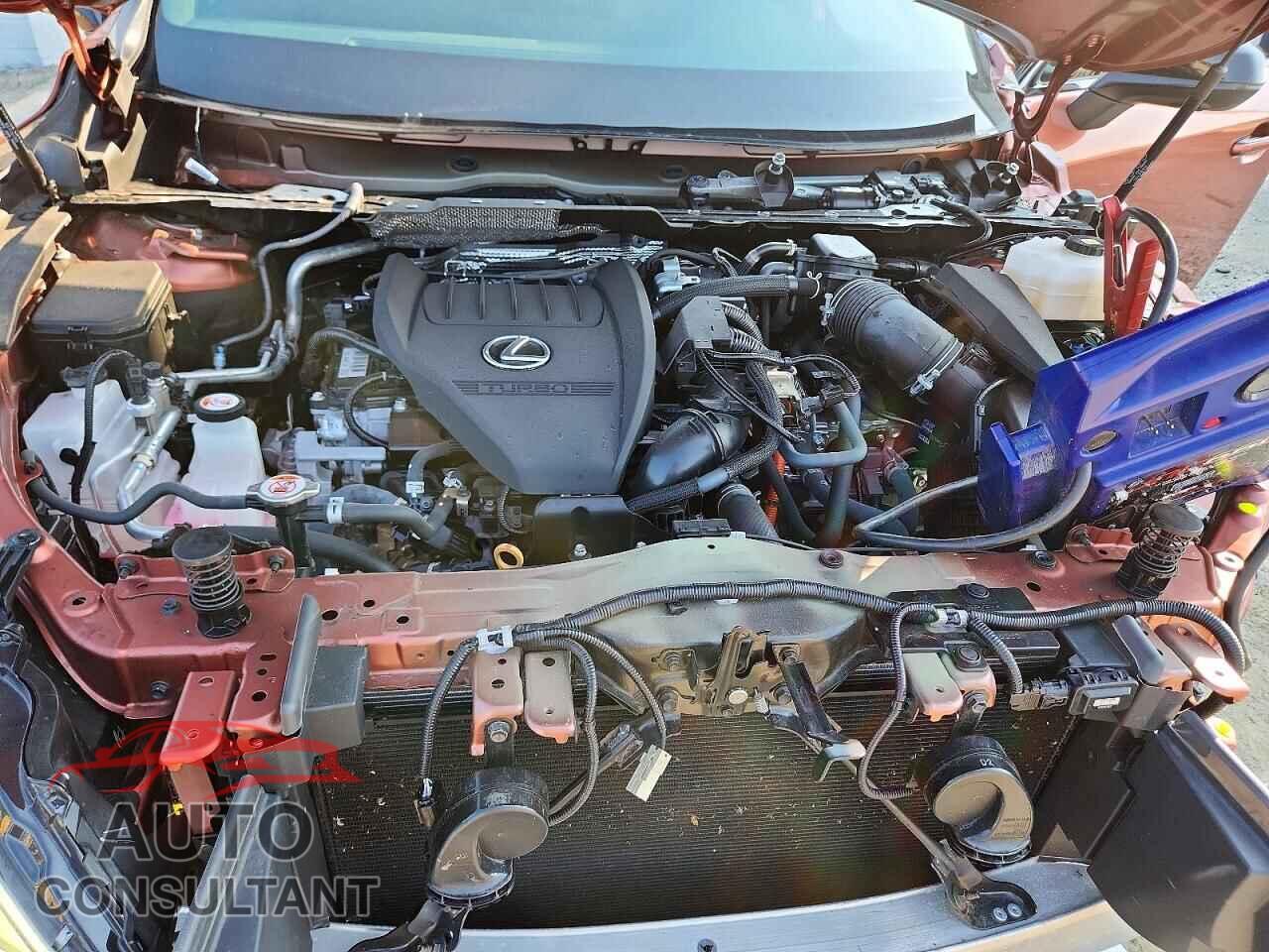 LEXUS RX450 2025 - 2T2BCMEA3SC021809