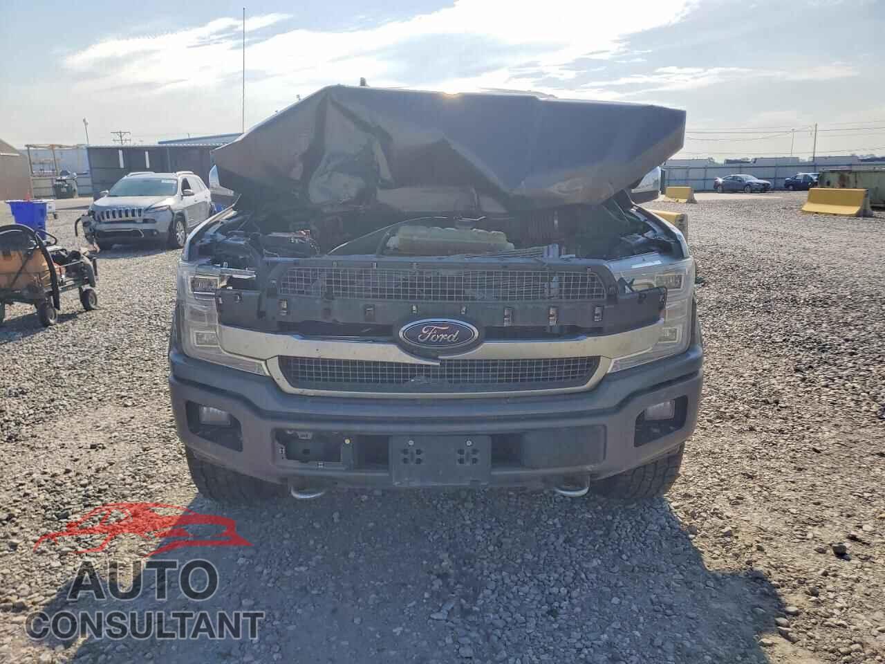 FORD F150 2020 - 1FTEW1E45LFB47504