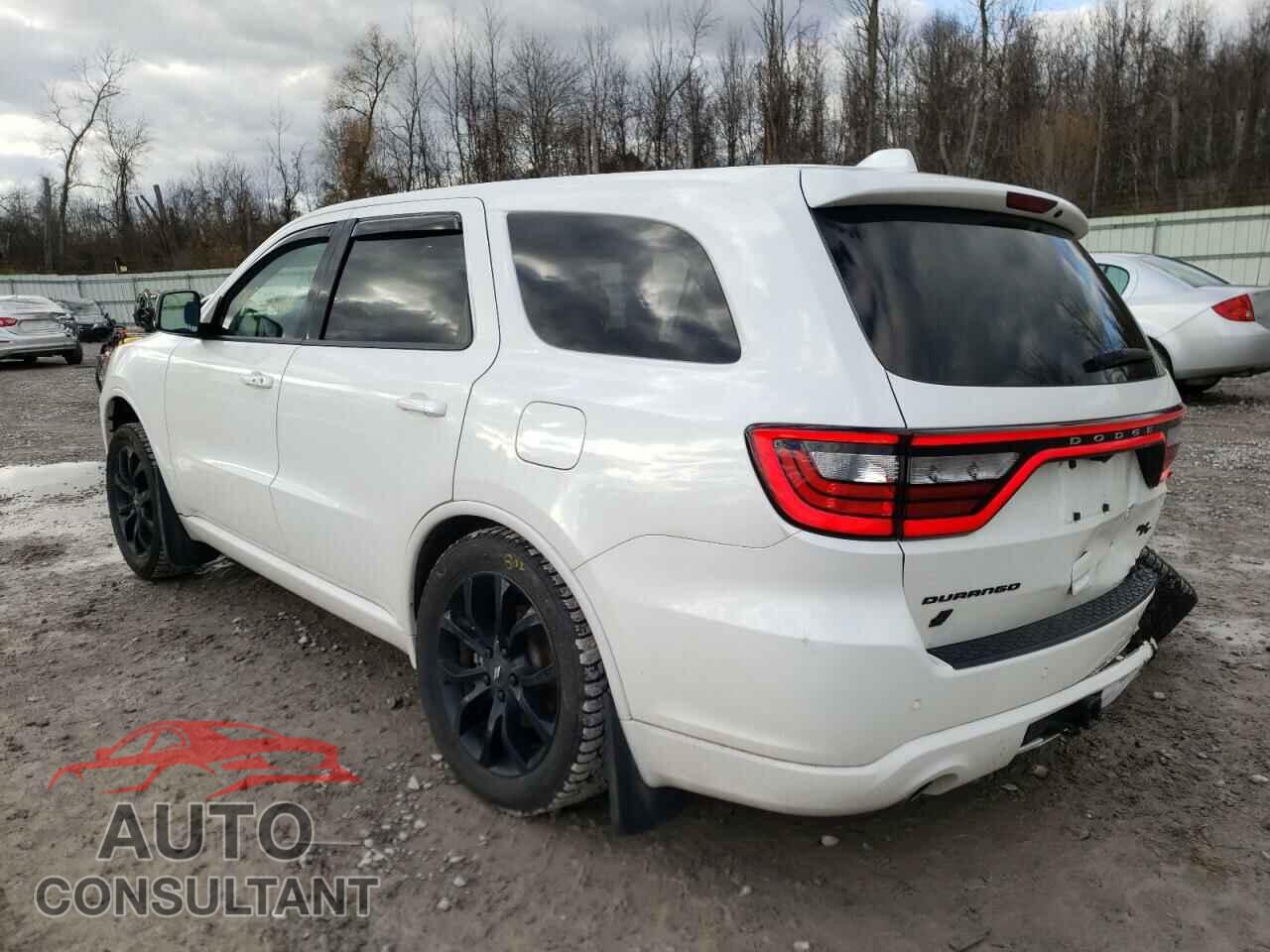 DODGE DURANGO 2019 - 1C4SDJCT5KC536484