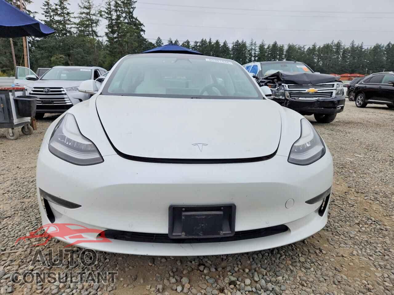 TESLA MODEL 3 2020 - 5YJ3E1EA2LF805073