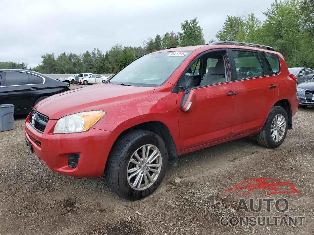 TOYOTA RAV4 2011 - 2T3BF4DV4BW125554