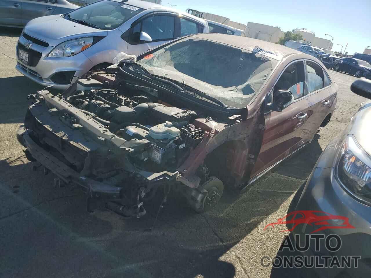 HYUNDAI SONATA 2016 - KMHE24L1XGA029128