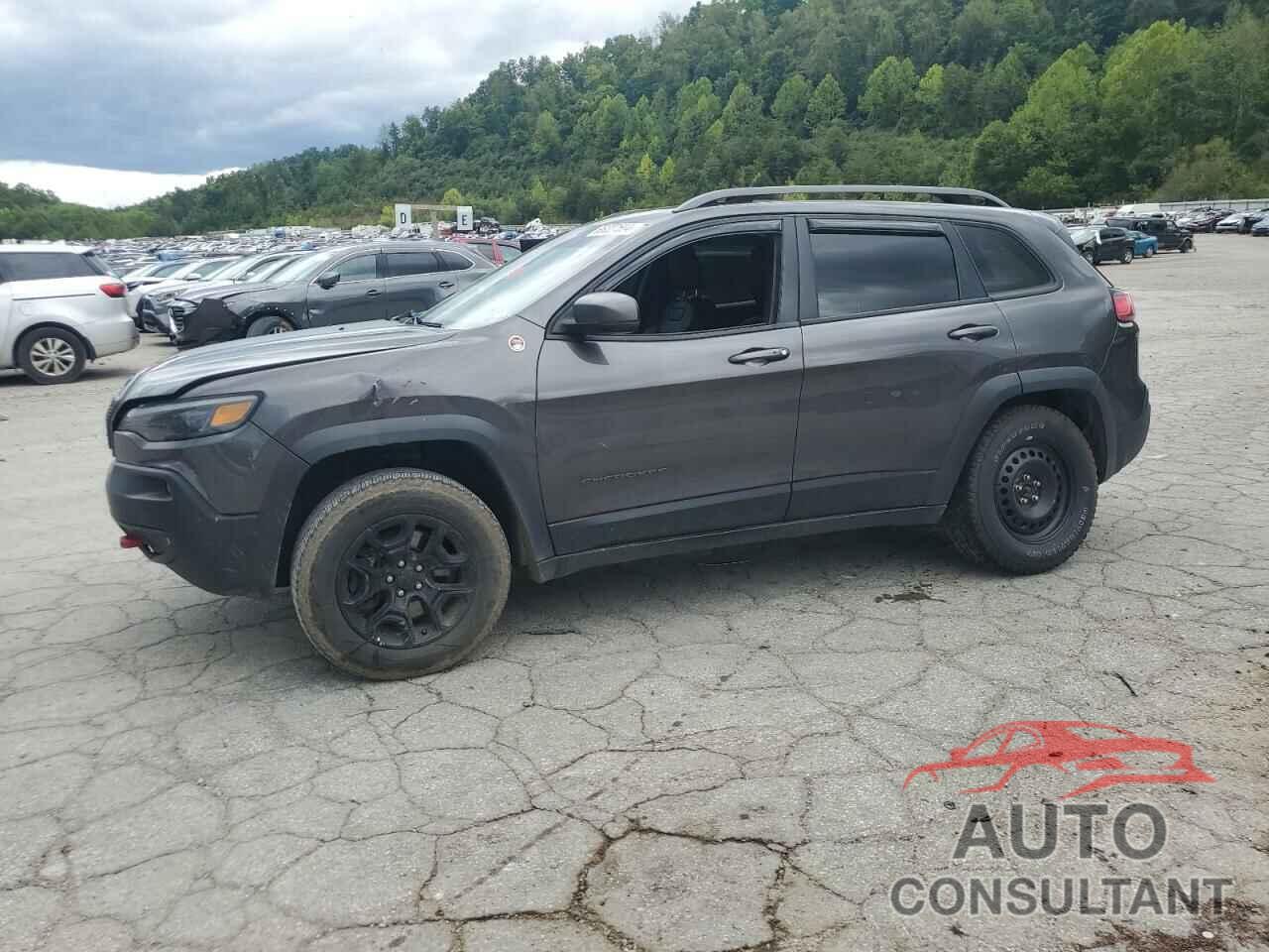 JEEP CHEROKEE 2019 - 1C4PJMBX4KD200534