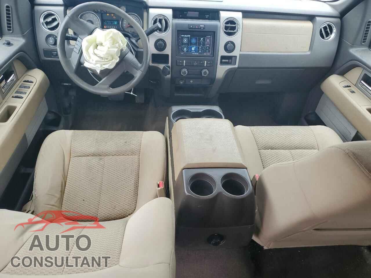 FORD F-150 2010 - 1FTEW1E84AFC30907
