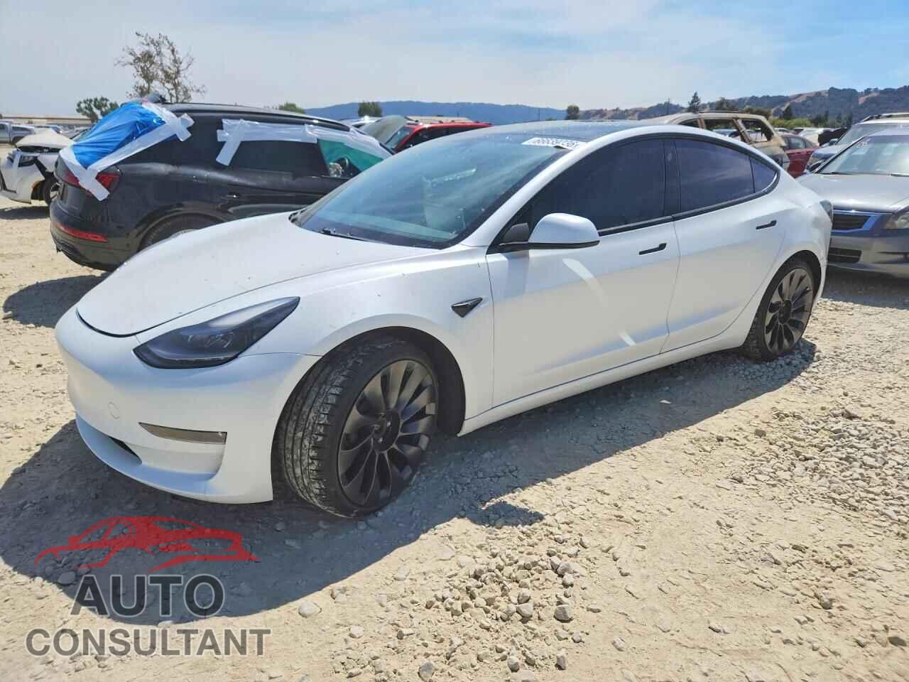 TESLA MODEL 3 2021 - 5YJ3E1EC9MF074001