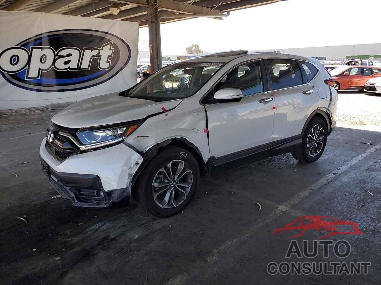 HONDA CRV 2022 - 2HKRW2H84NH662959
