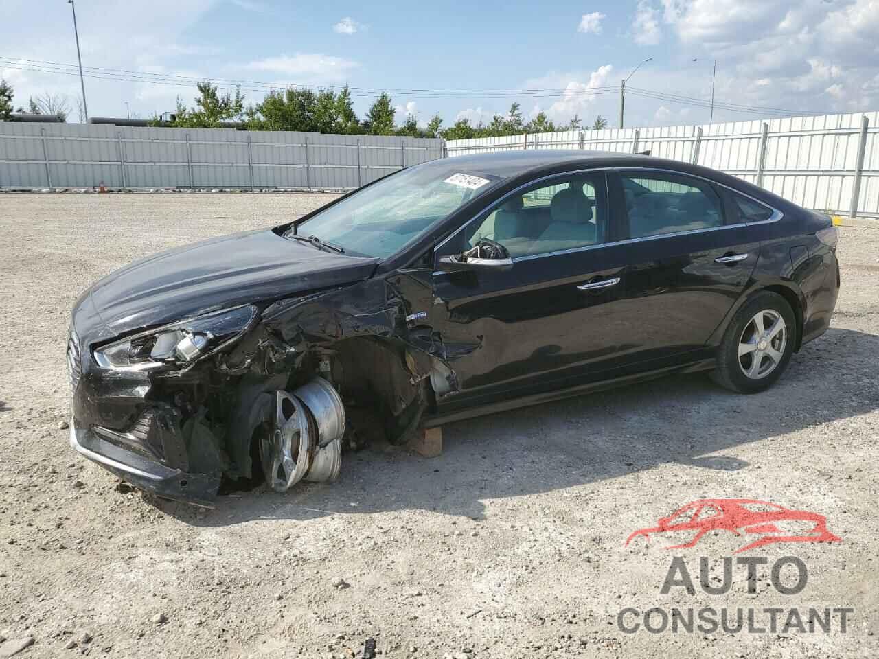 HYUNDAI SONATA 2019 - KMHE24L35KA093202